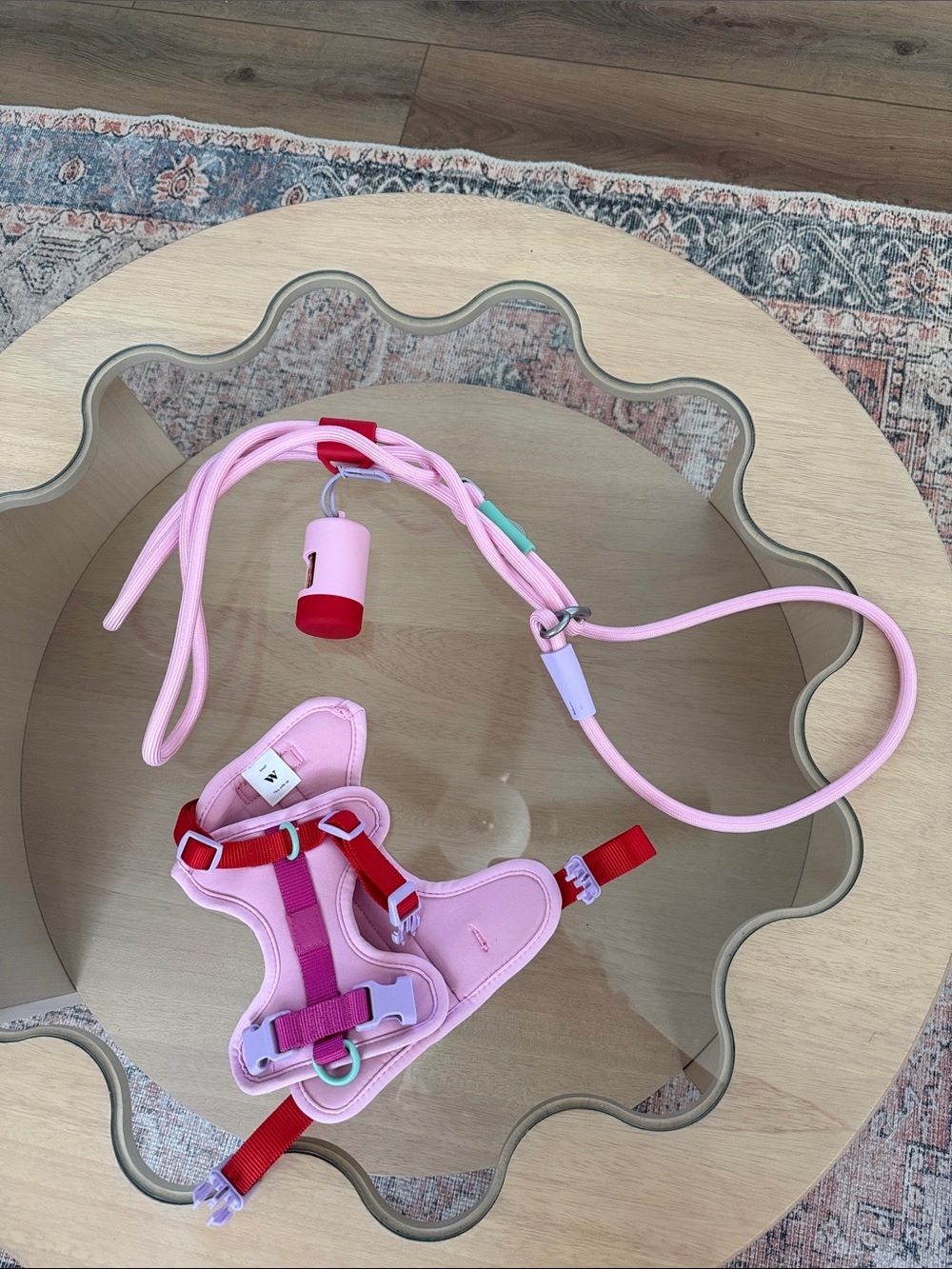 Adjustable Pink Dog Harness and Leash Set with Red Accents (ONLY USED ONCE)